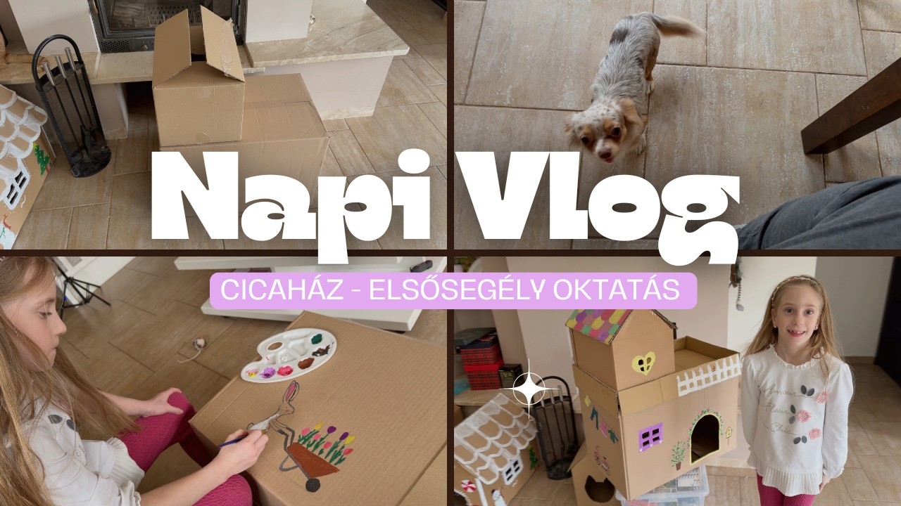 NapiVlog (febr.18-22.) - Készül a cicaház 🐈🏚️ - Elsősegély nyújtás gyerekfejjel 🆘🥰