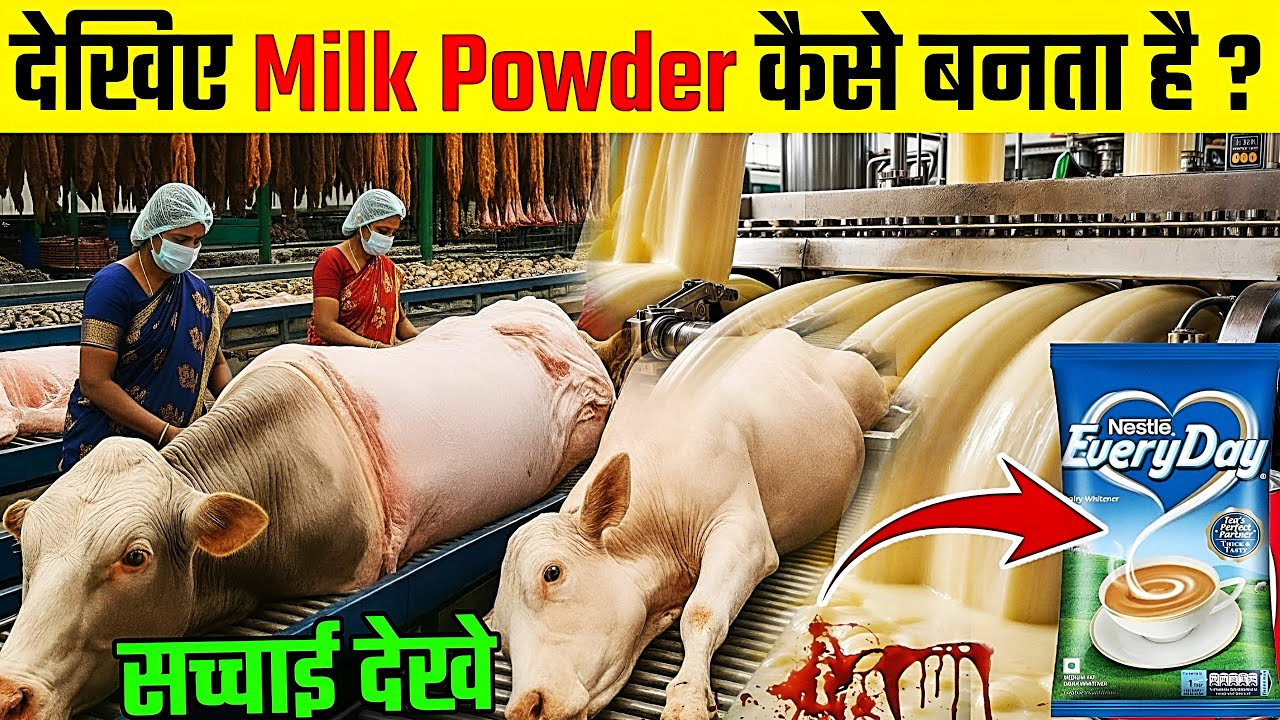देखिए Milk Powder कैसे बनता है ? | Milk Powder Making Process | Amulya Milk Powder Factory