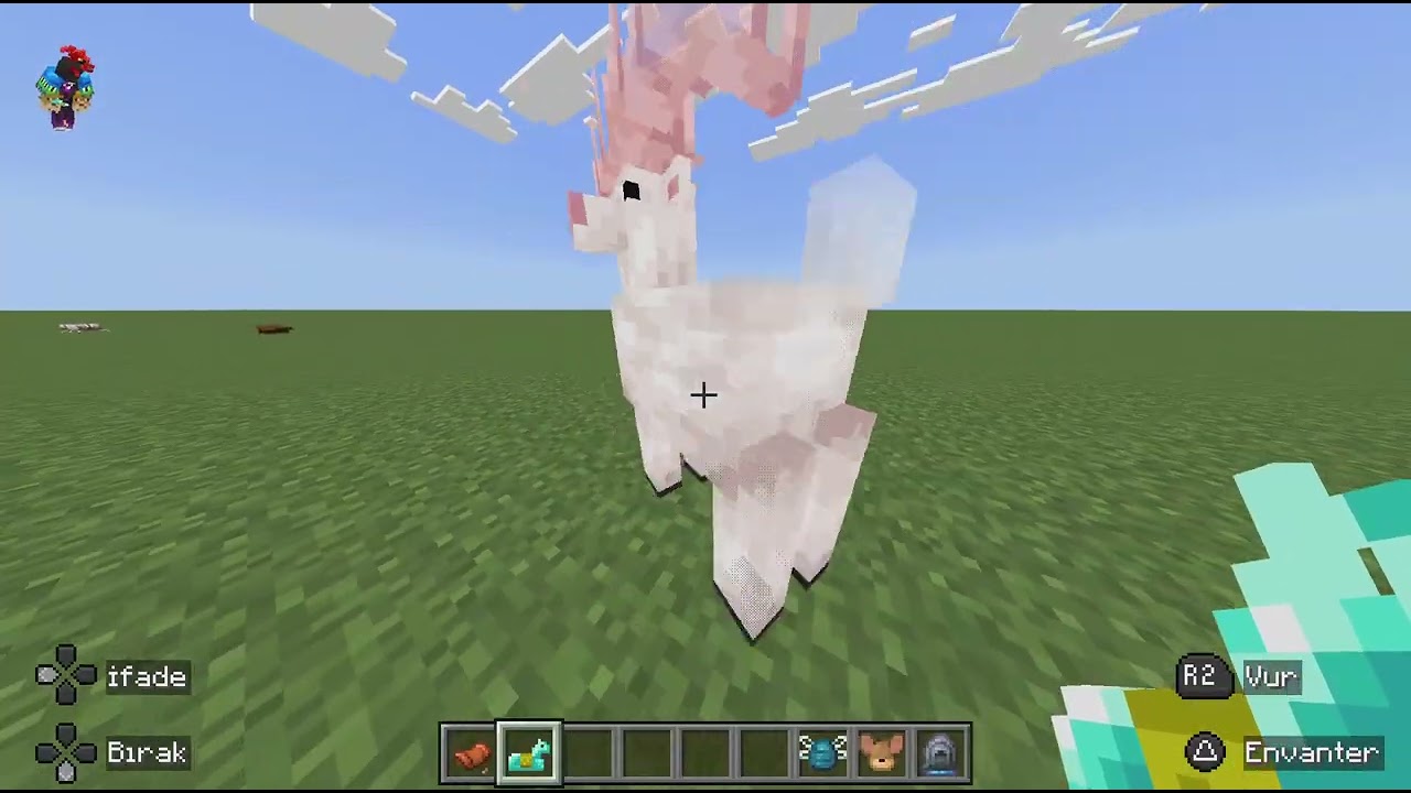 Minecraft_gerçekçi hayvanlar