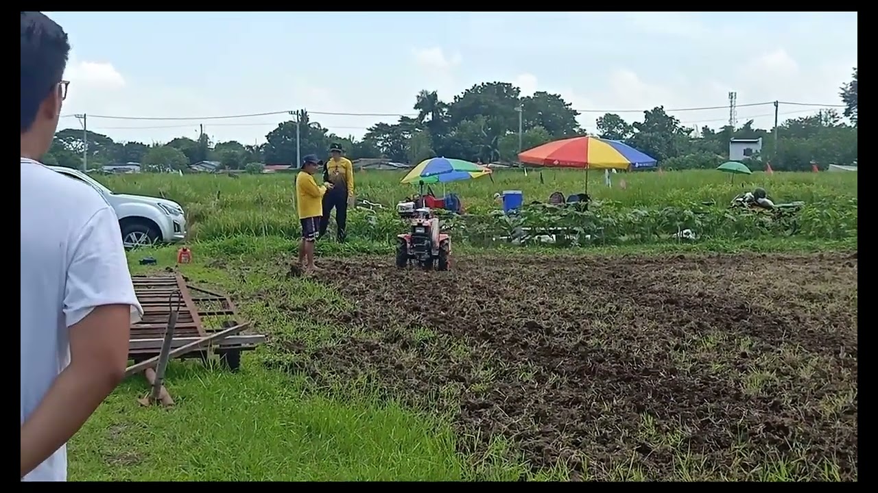 Agrotis