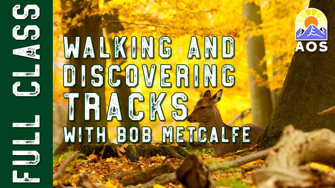 Walking and discovering tracks with Bob Metcalfe