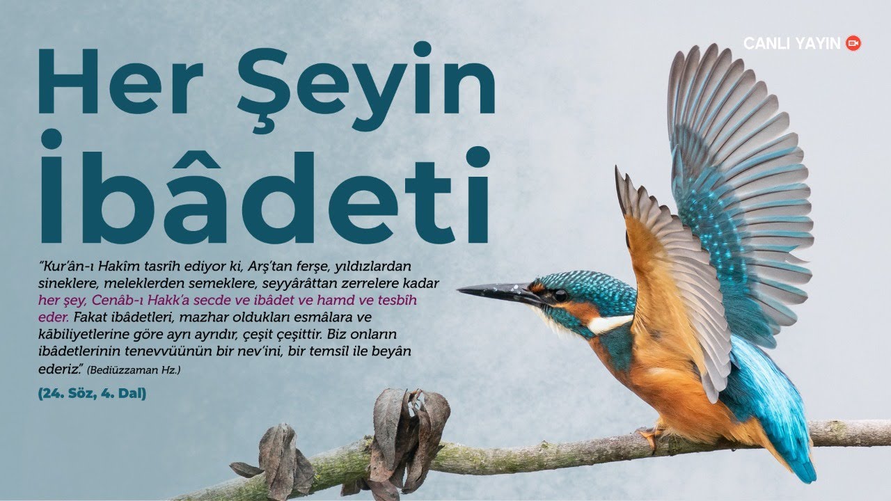 24. Söz 4. Dal - 3