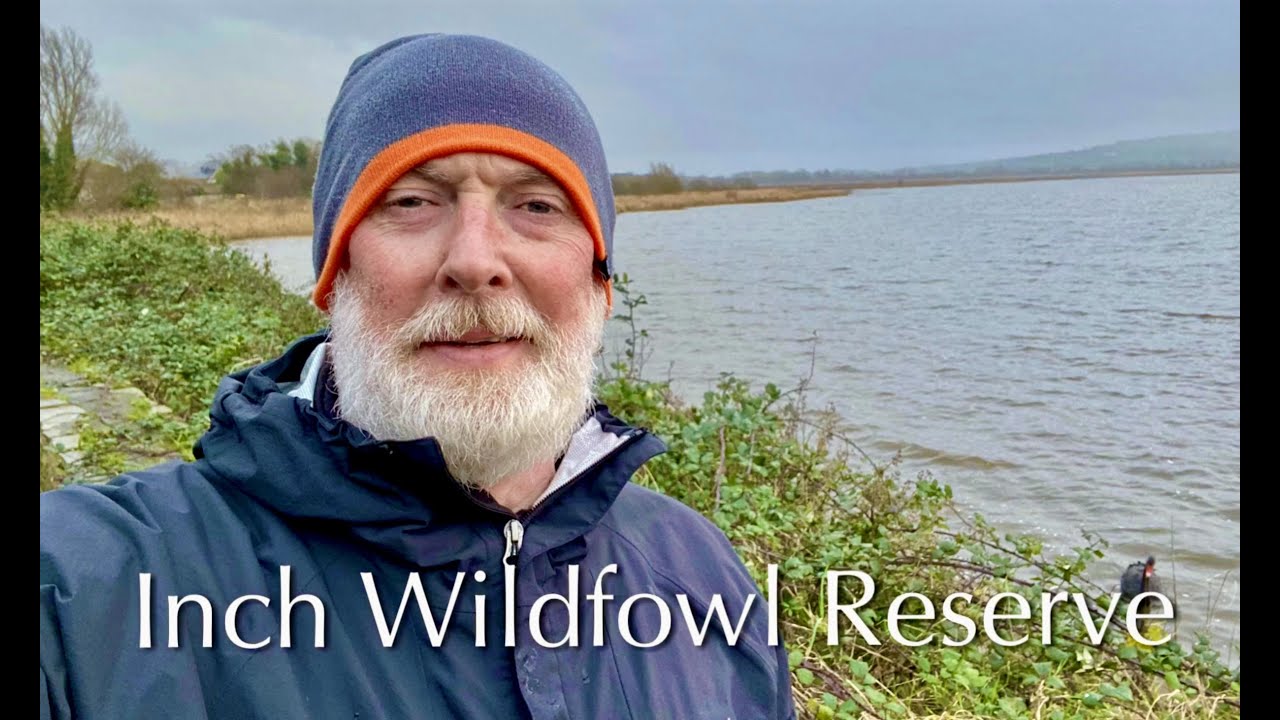 Inch Wildfowl Reserve