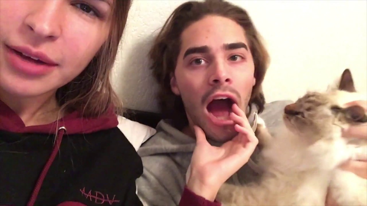 VLOG 2 - he almost killed his cat... TWICE