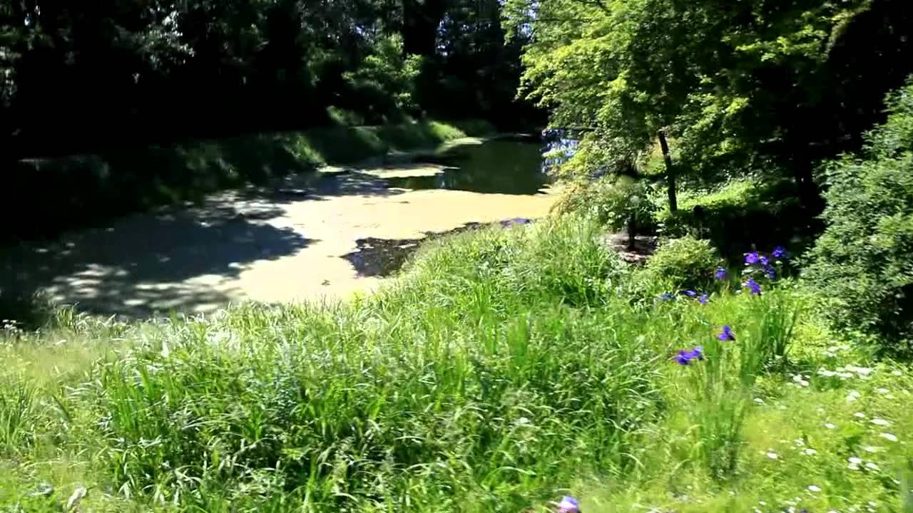 Drozdowo