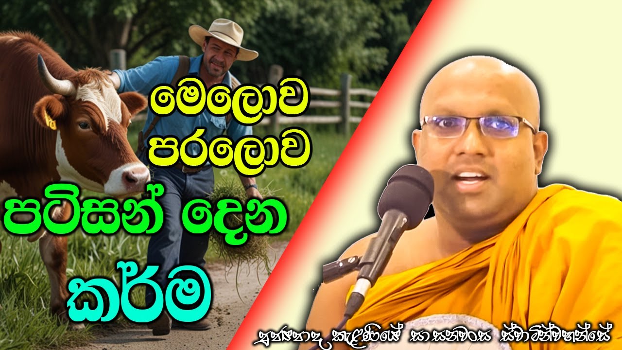 මෙලොව පරලොව පටිසන් දෙන කර්ම  | Kelaniye Sasanawansa Thero | Mindful Wisdom #Bana