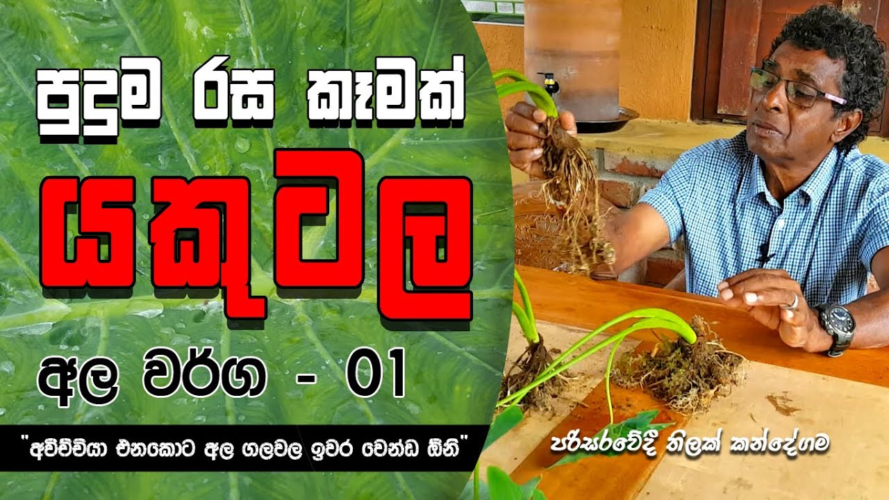 පුදුම රස කෑමක්  
