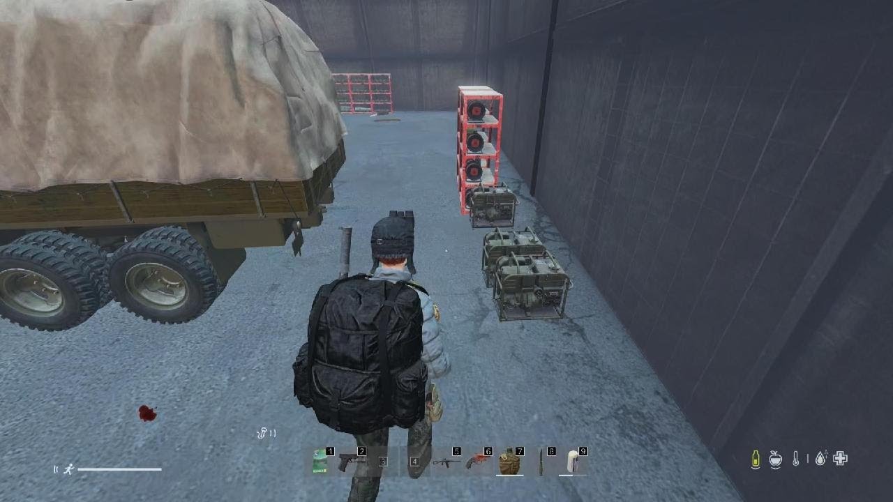 DayZ_20260224014921