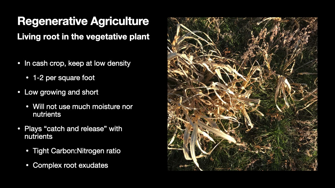 Regenerative Agriculture