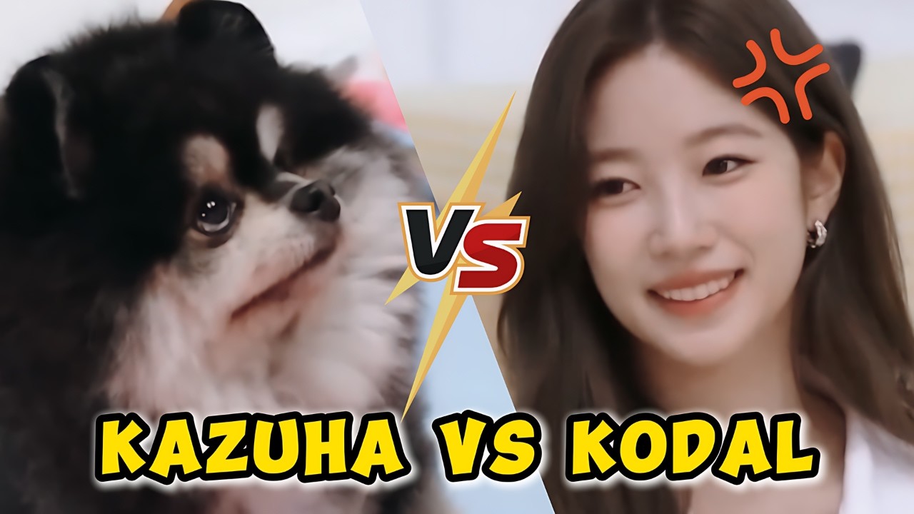 When KAZUHA is having trouble with the dog she's taking care of 😆