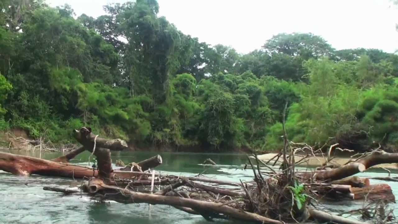 Río Tzendales y las  Guacamayas