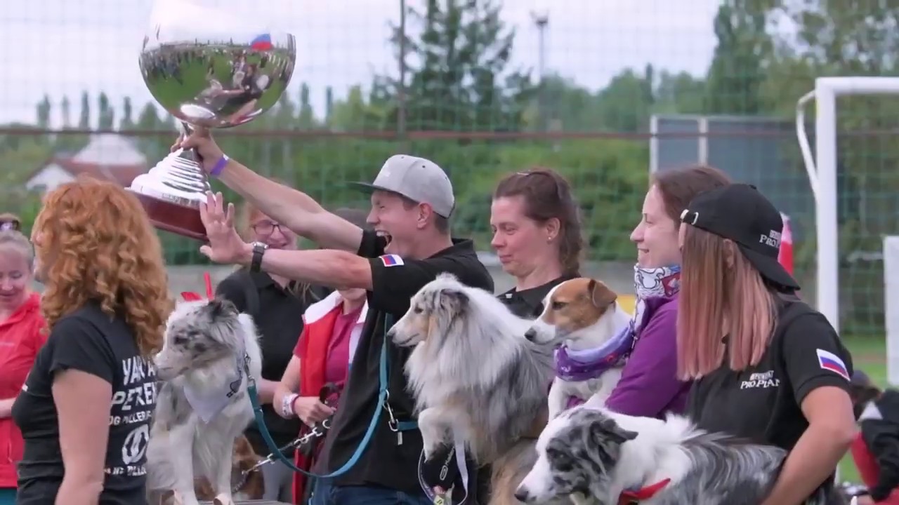 Second Dog Puller World Championship 2019 Sopron, Hungary