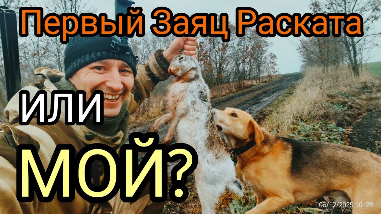 258-Открытие охоты по зайцу.Охота с гончей.Первый заяц из под Раската.(06.12.2025)