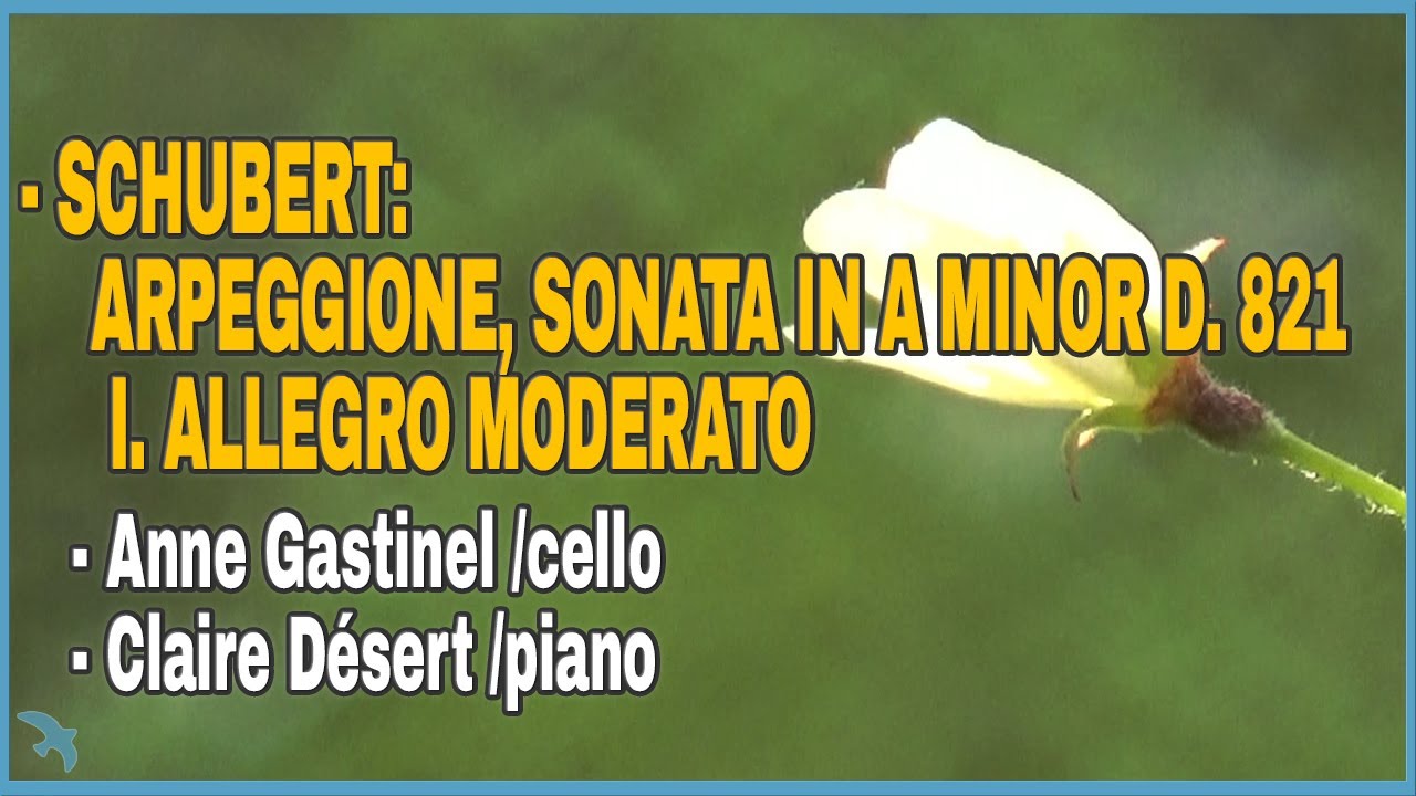 Anne Gastinel - Schubert: Arpeggione, Sonata in A Minor D. 821 I. Allegro Moderato (2005)