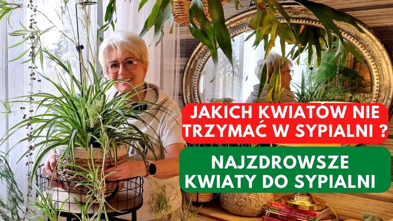 CZY ROŚLINY ZABIERAJĄ TLEN W SYPIALNI? JAKIE KWIATY DO SYPIALNI? [322}