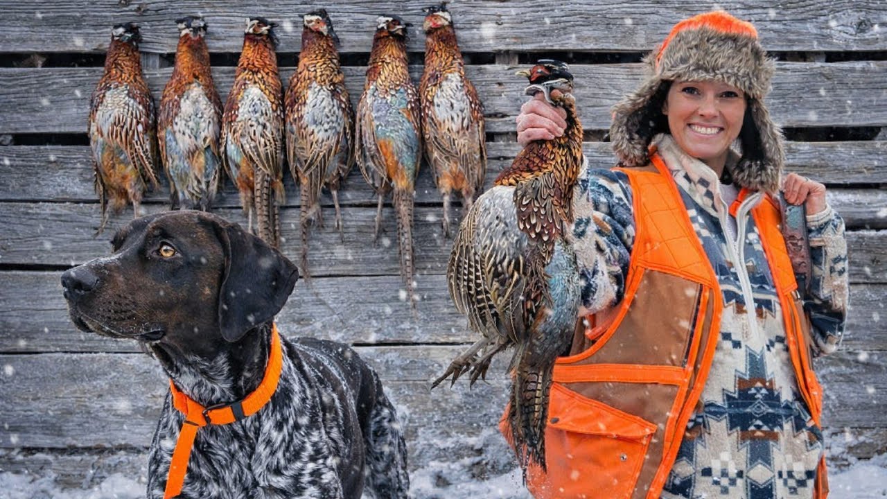 Epic Pheasant Hunt In Snow Covered Farm Fields With Bird Dogs | Midwest Upland Hunting