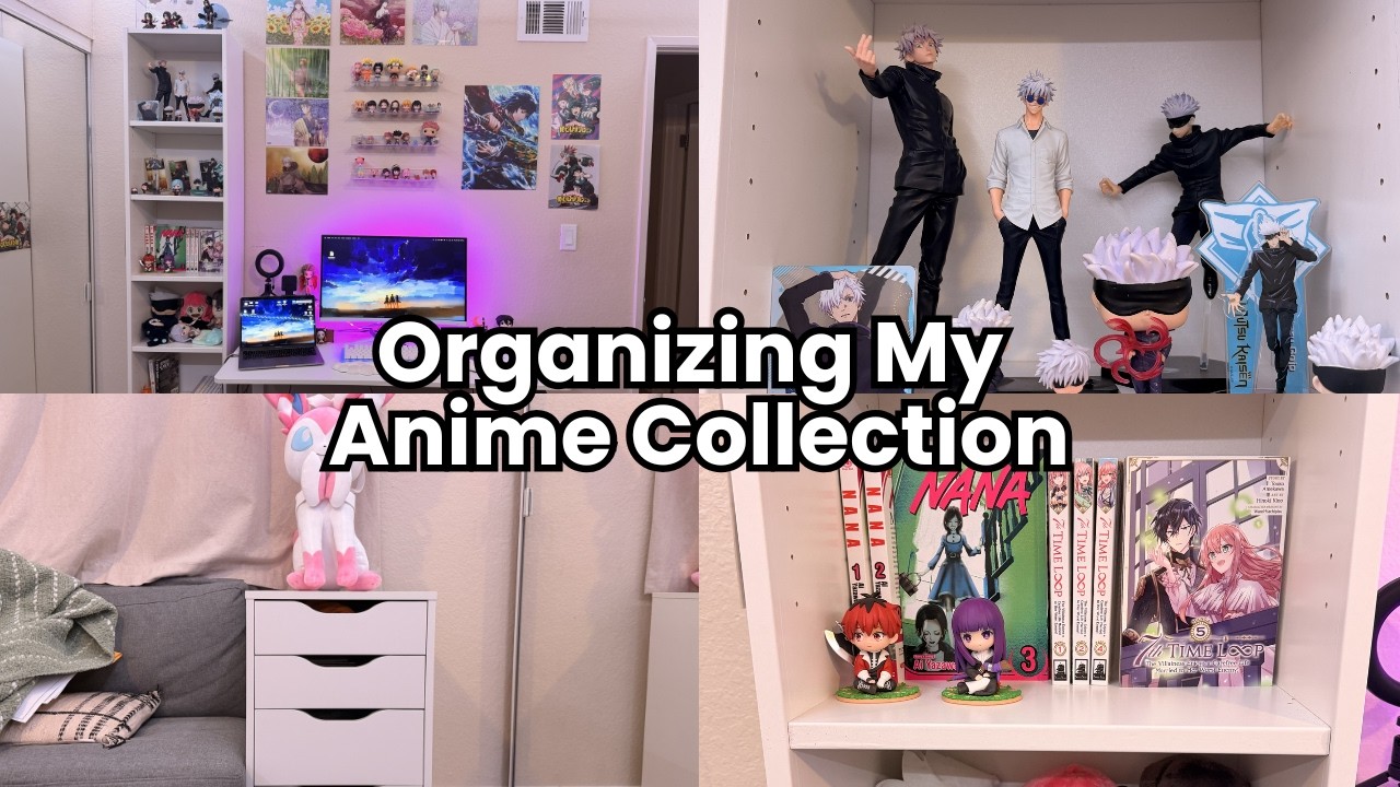 Giving My Manga & Figures A Proper Space!