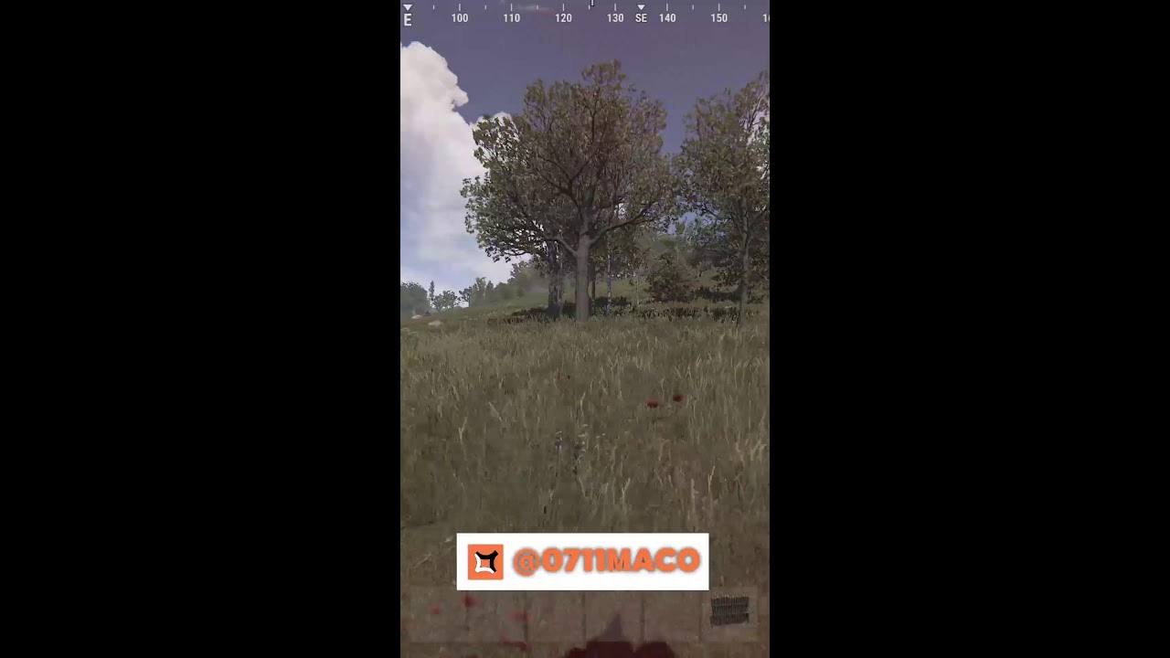 rust life as a solo #rust
