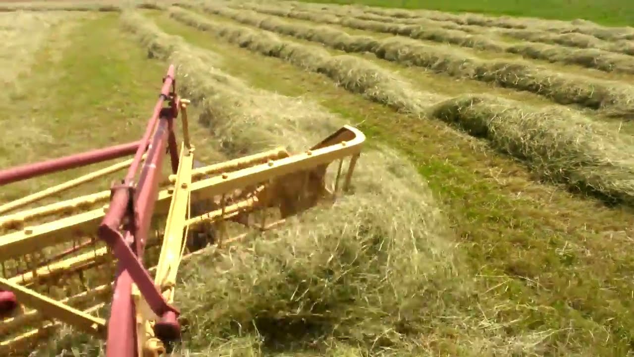 How I Turn 5 Acres of Grass into Perfect Hay Rows!