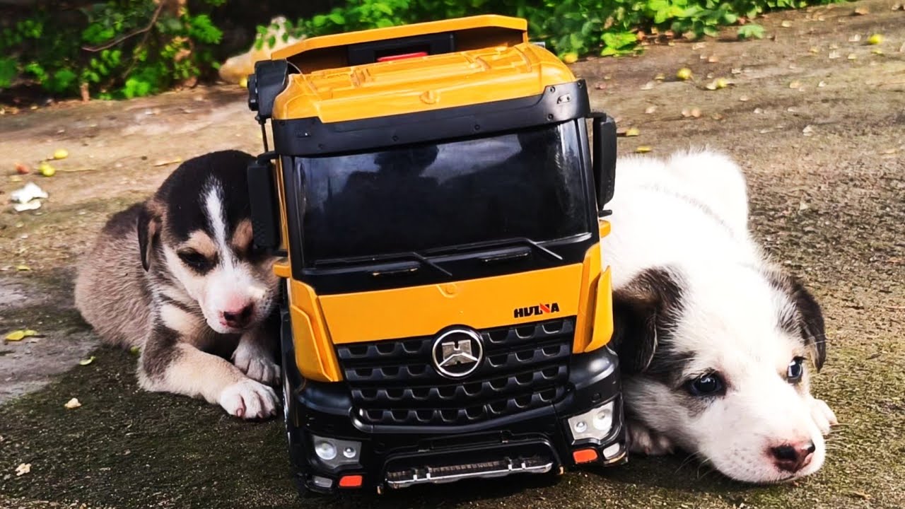 new rc truck defrent CONSEPT evryone watch the video|rc truck zone