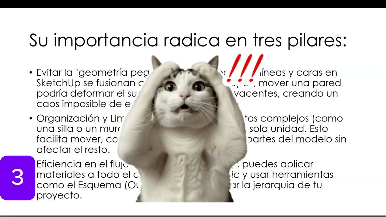 CLASE 05_Organización del Modelo o Modelado Avanzado de Objetos