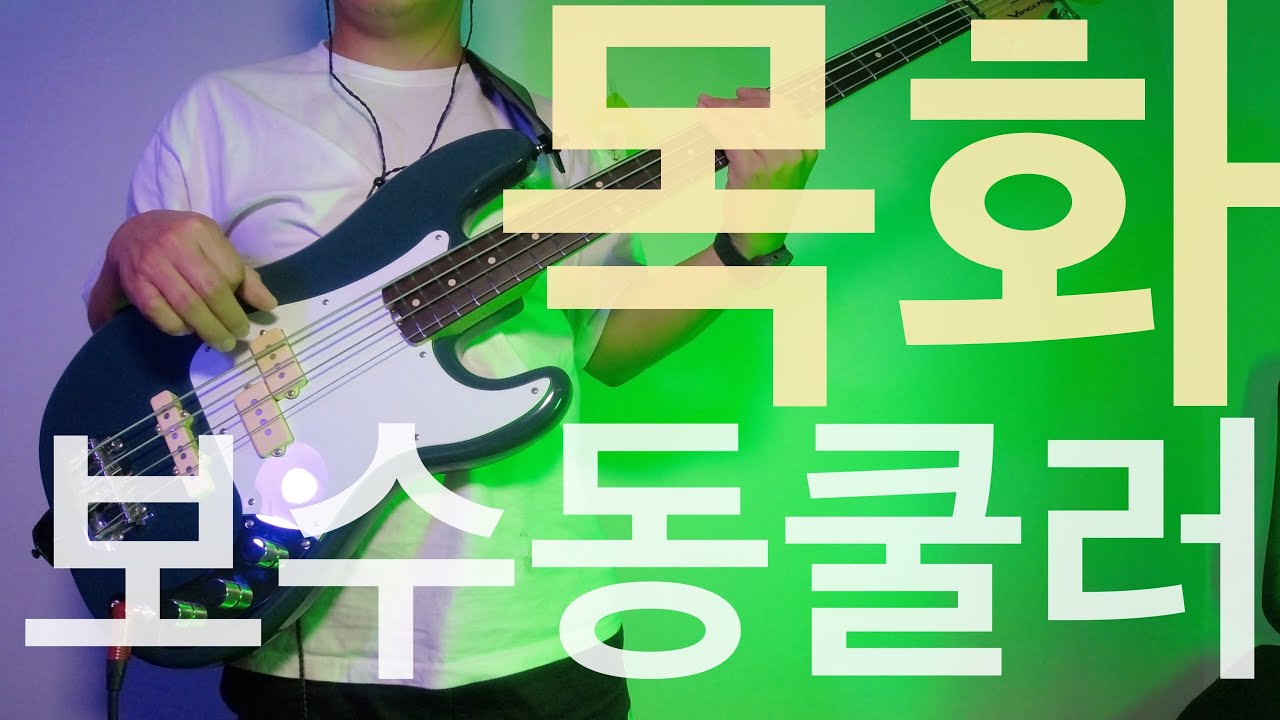 #518 목화 - 보수동쿨러 / Bass Cover / Vincent Akkurat PJ 4