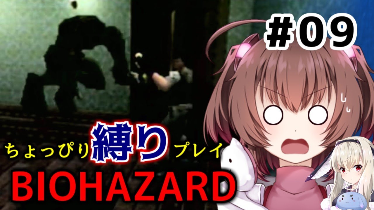 ちょっぴり縛りで【バイオハザード】を一人と一羽がプレイ part9
