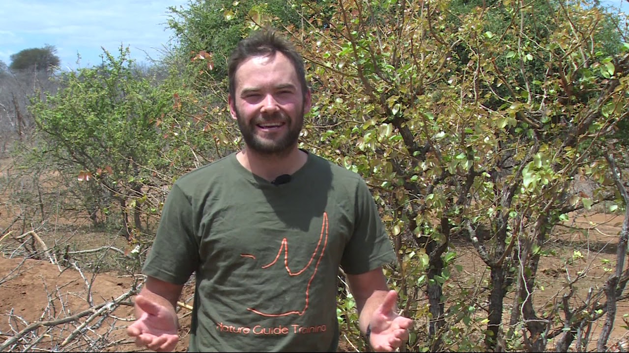 Nature Guide Training
