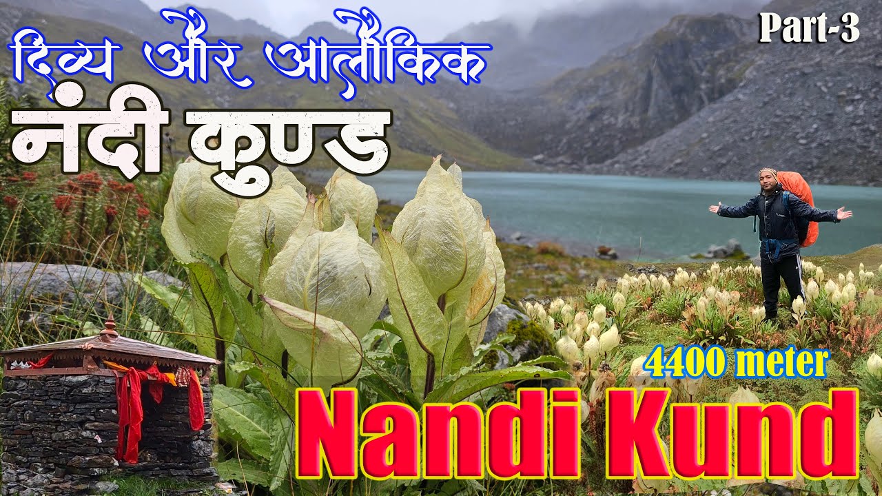 Nandi kund Trek  नंदी कुंड की यात्रा Part-3 |ब्रह्म कमल के दिव्य पुष्प |Pandavsera to Nandi Kund |