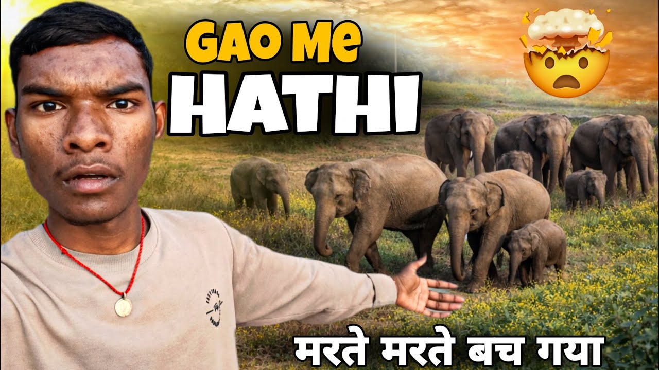 Gao Me Hathi Aa Gaya 😱  #hathiraja #gaon 