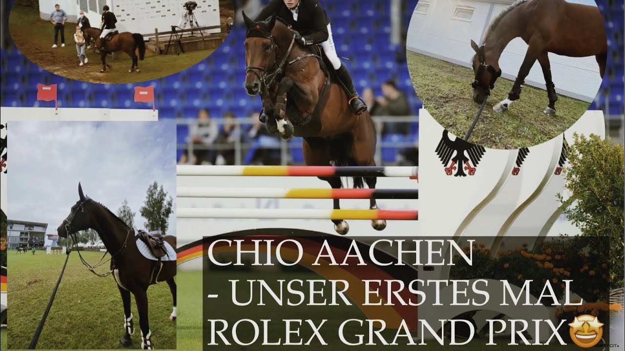 CHIO AACHEN - Cedi und Chici qualifizieren sich für den großen Preis🤩 Was eine Woche!❤️