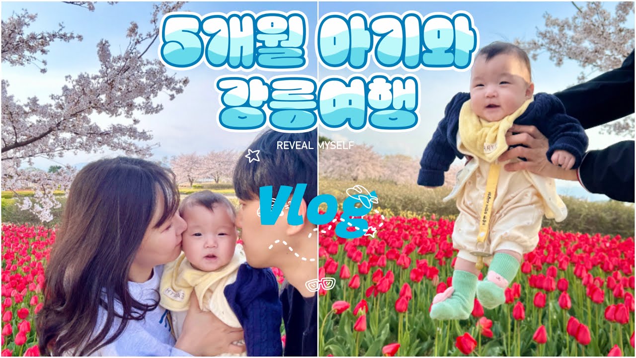 152~153일 육아브이로그| 5개월 아기와 강릉여행, 세인트존스호텔, 아기용품대여, 강릉현지인맛집, 여행 아기짐 싸기
