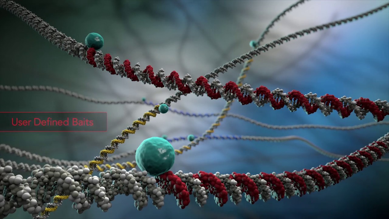 Confidently call CNVs, LOH, SNVs and indels in one cost-effective NGS assay
