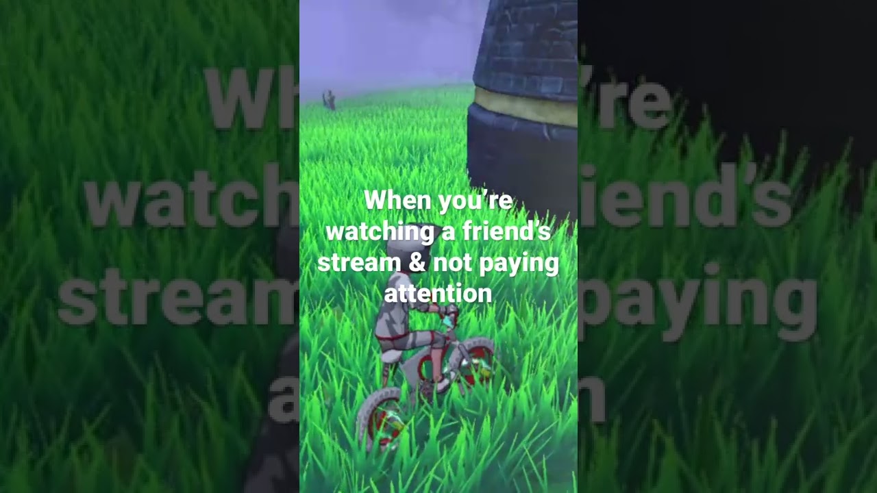 Ran into a Random Shiny in Pok&eacute;mon Shield!