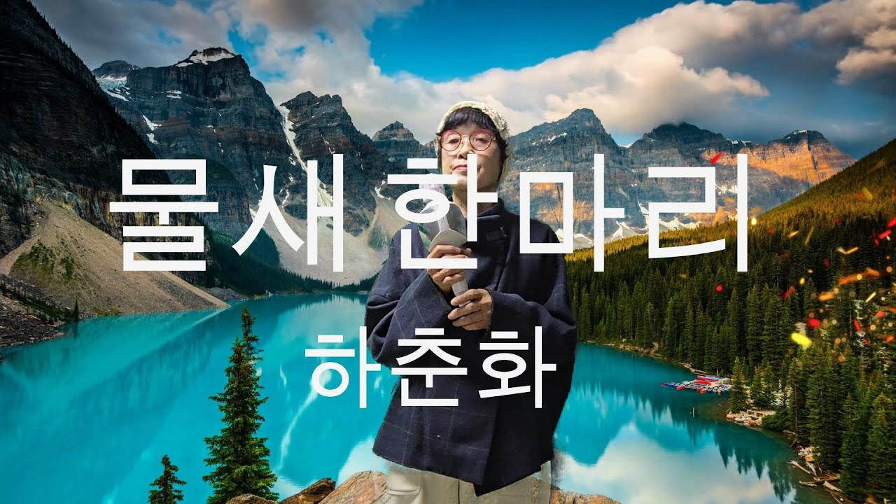 어머님·아버님 세대를 위한 힐링 트로트 🎤 [하춘화 – 물새 한마리] (담이유 커버)