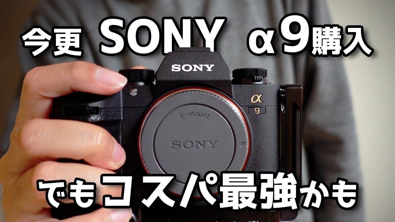 今更ですがSONY α9購入しました でもα1やα9IIが発売された今、コスパ最強かもしれません