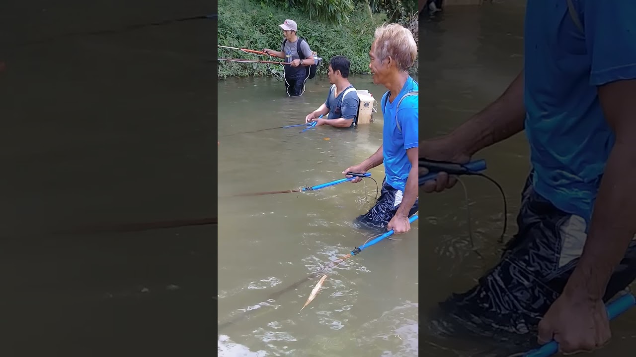 ilog sa montalban Rizal.....dinayo ng mga mosfet type at transistor type..