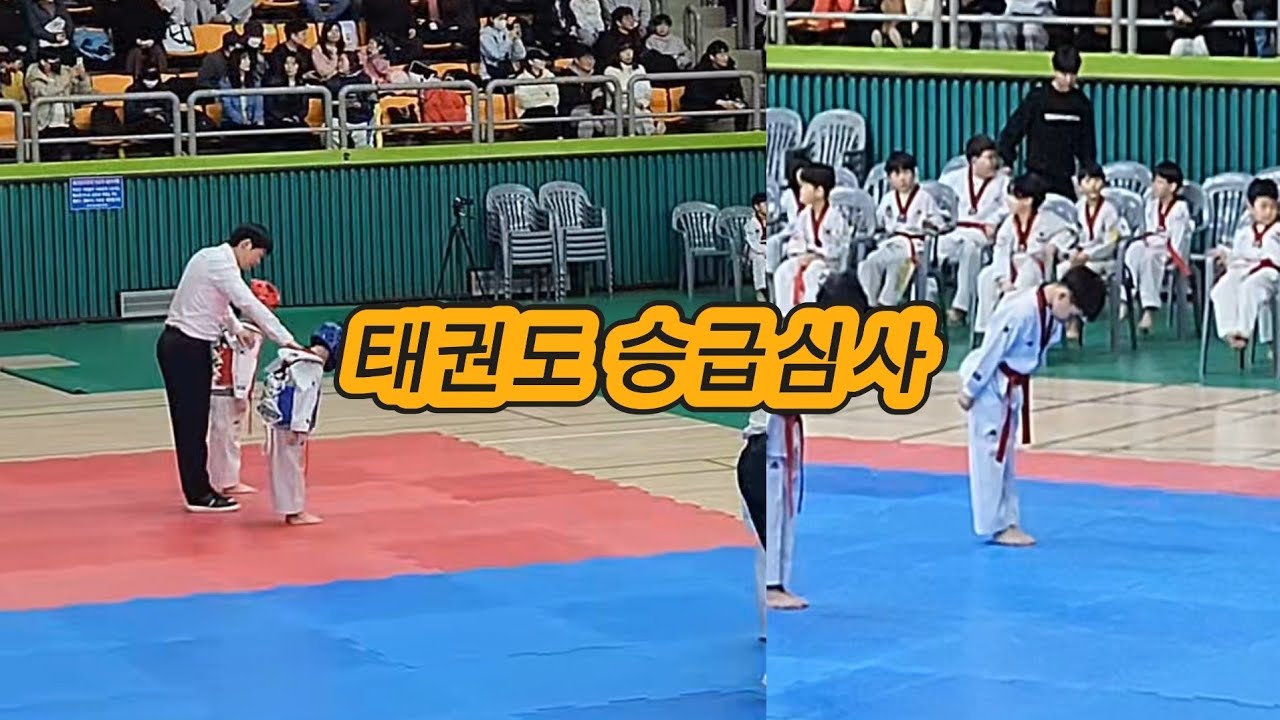 엔젤 태권도(광명점) 민재 1품 도전