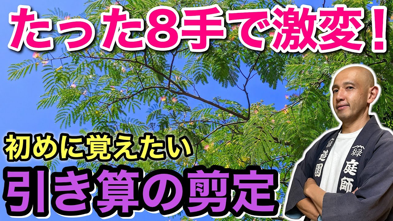【最小手数の剪定術】実は「切らない」のが正解？初心者でも自然な形を壊さずスッキリさせる考え方