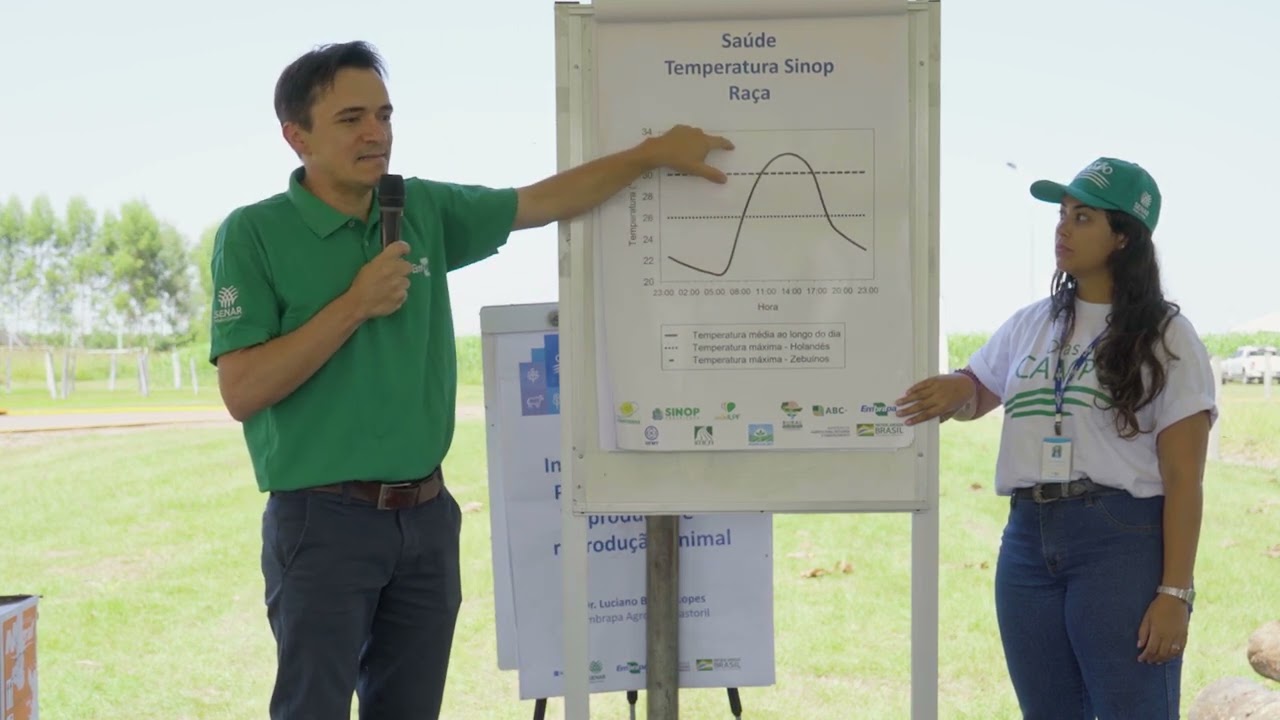 Recomendações técnicas para produção de leite e crescimento e produção de eucalipto no sistema ILPF