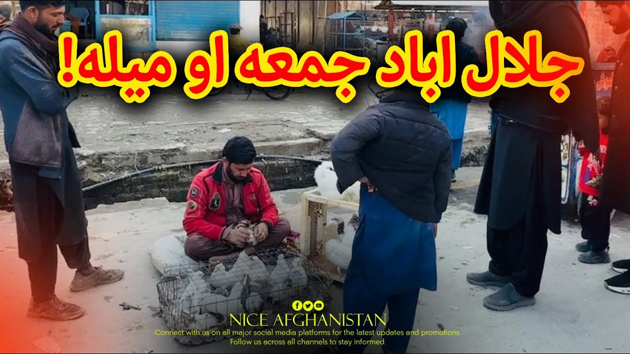 Jumma aw milla pa Jalalabad ke 2026 | جمعه او میله | Nasir Haleemi | Nice Afghanistan 🇦🇫 