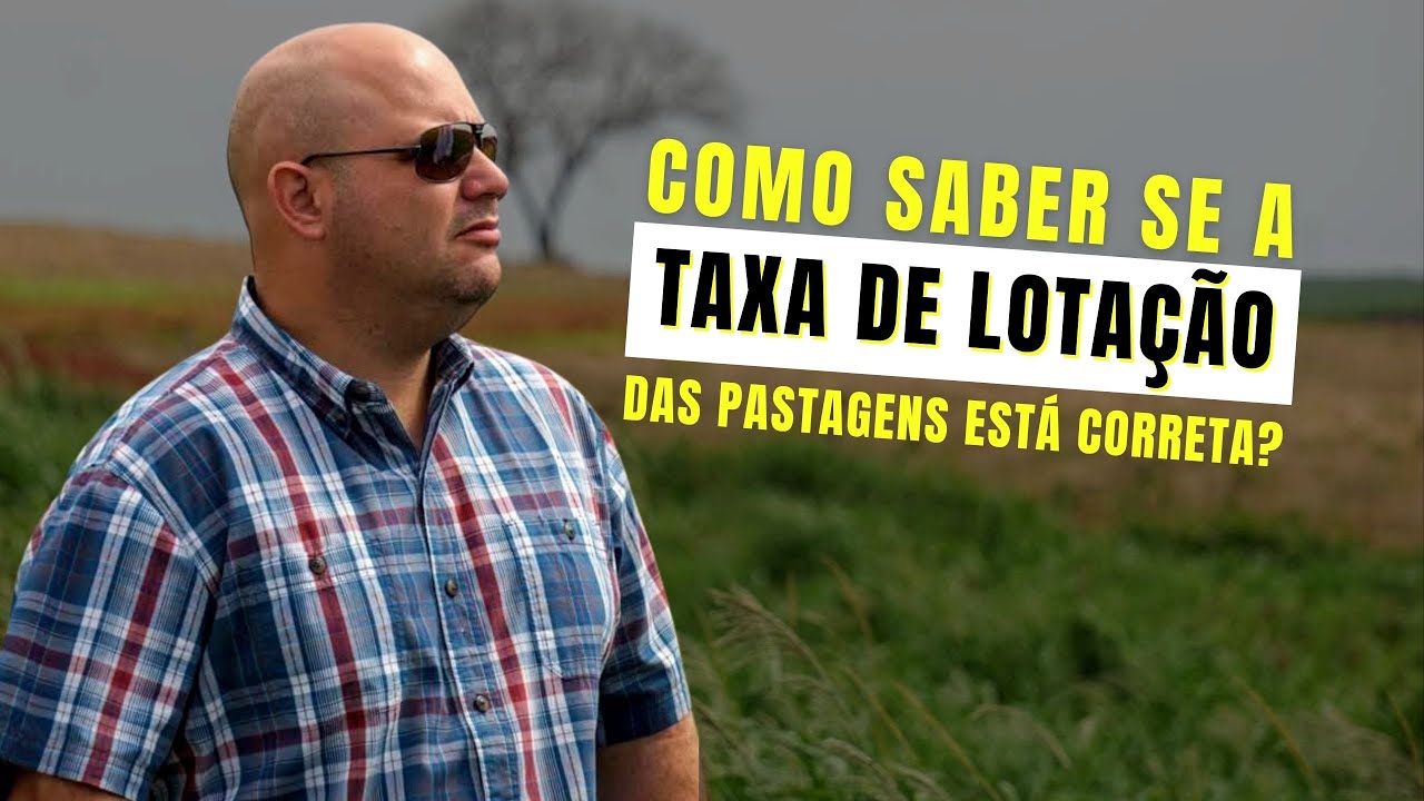 COMO SABER SE A TAXA DE LOTA&Ccedil;&Atilde;O DAS PASTAGENS &Eacute; CORRETA | PROF MARCELO COSTA