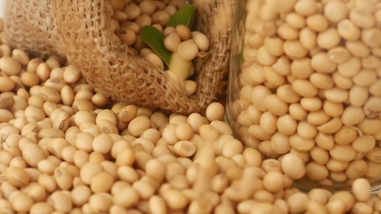 Global grain shortage an opportunity for Argentina's 'green gold'