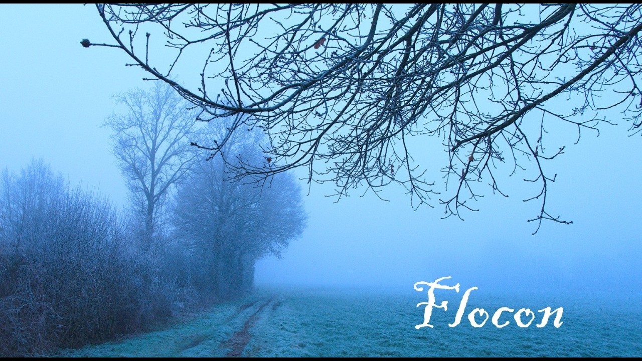 Flocon