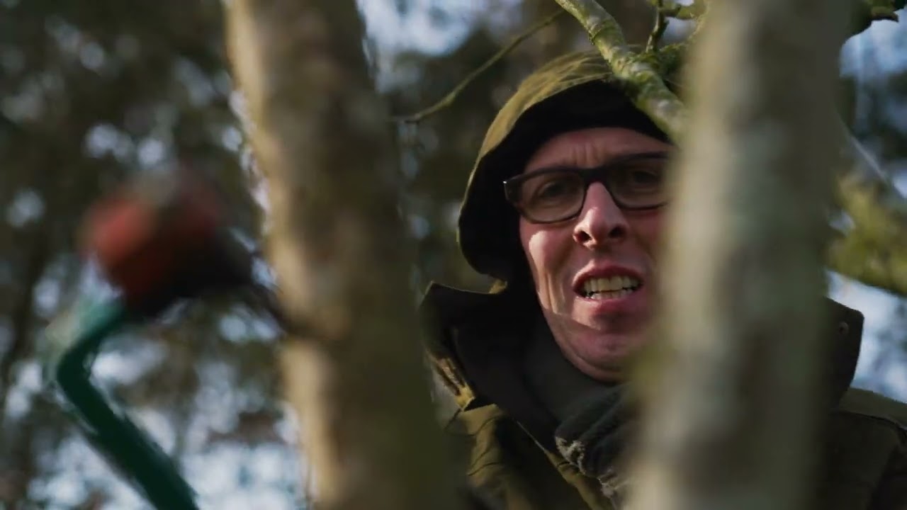 Vormsnoei hoogstamfruitbomen - Beheer en onderhoud