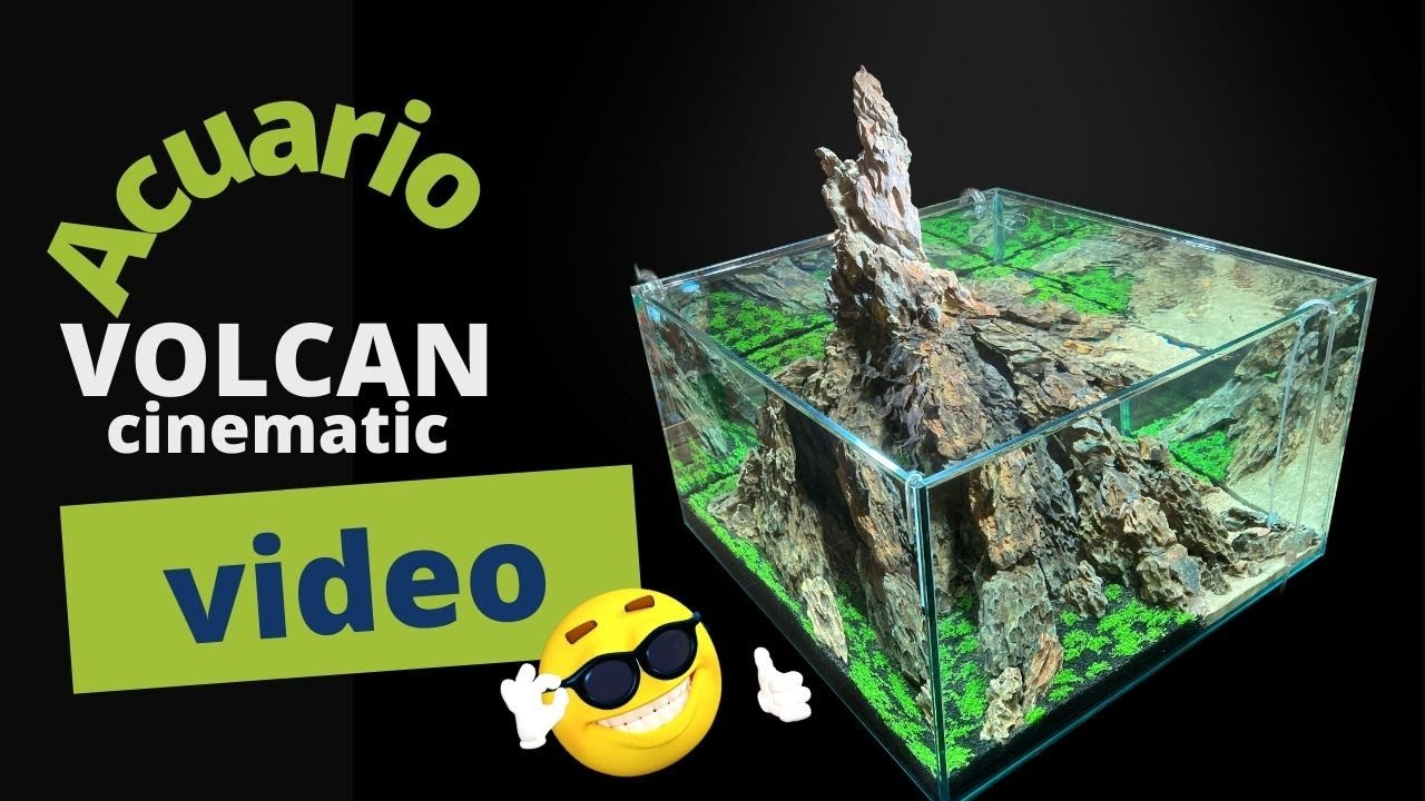 ► VOLCAN: Acuario plantado - Cinematic Video