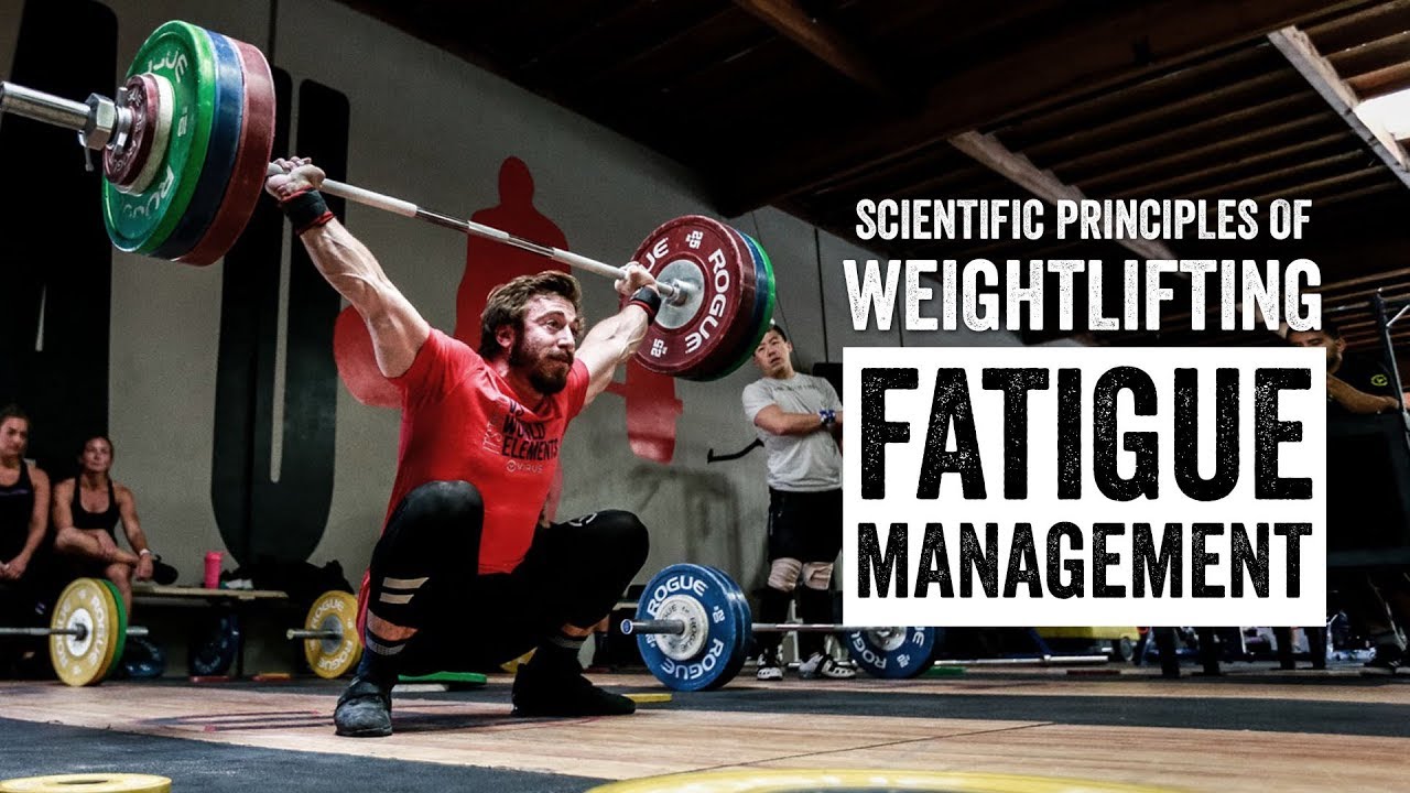 Scientific Principles of Weightlifting | Fatigue Management | JTSstrength.com