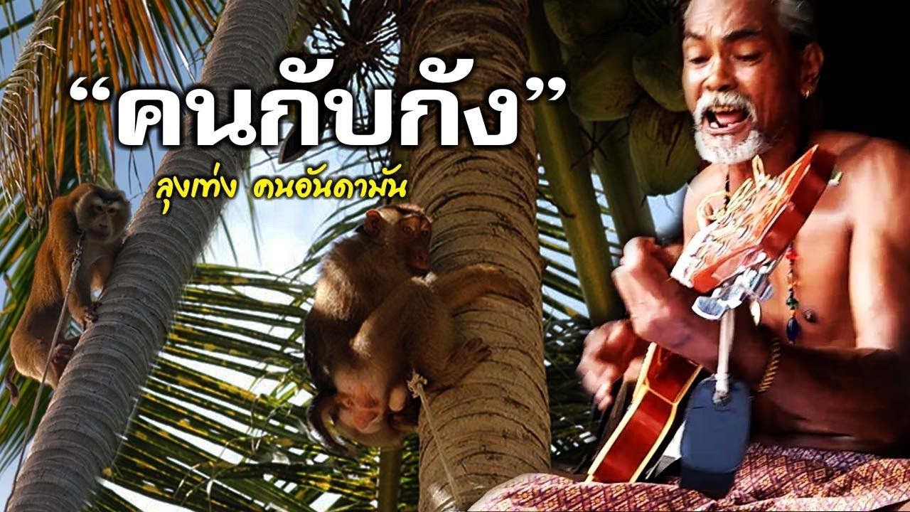 ลุงเท่ง คนอันดามัน เพลงคนเลี้ยงกัง