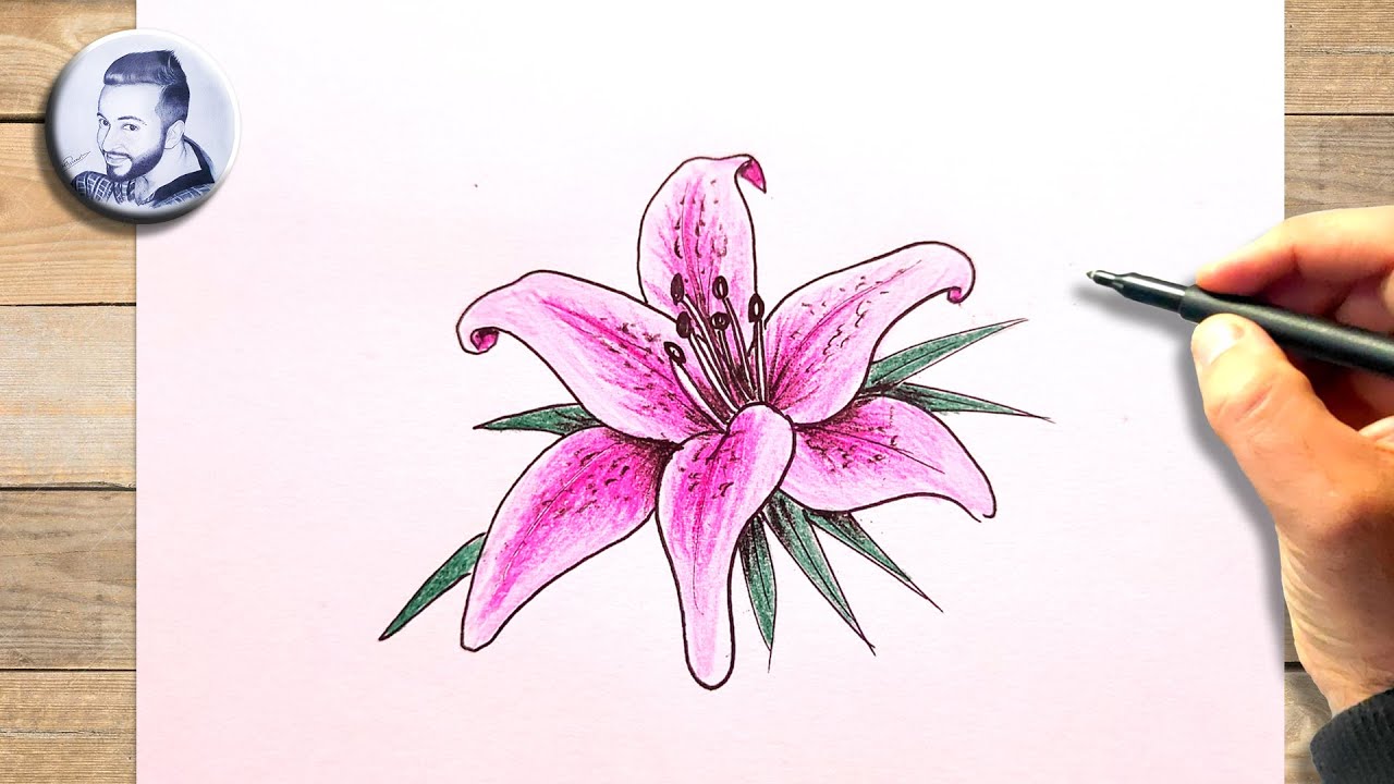Comment dessiner un lys rose dessin facile &agrave; faire