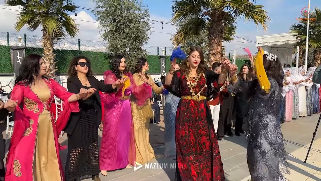 Memo Onuk'un Nişanı Part - 2 | Musa Silopi | Mazlum Media | Liva Garden Kır Düğün Salonu